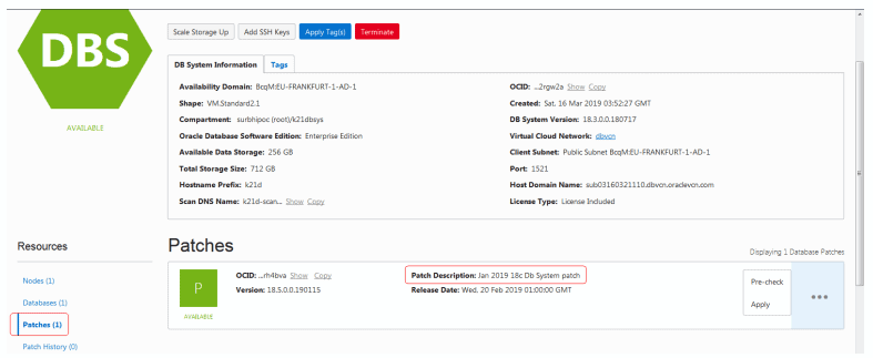 Database Patching in Oracle Cloud DB System