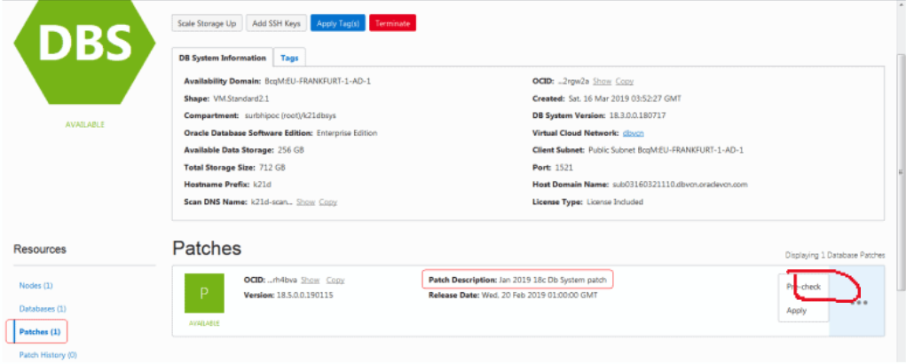 Database Patching in Oracle Cloud Pre-Check Circled