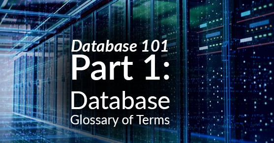 Database 101, Part 1: Database Glossary of Terms