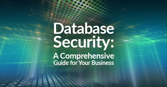 Database Security: A Comprehensive Guide for Your Business
