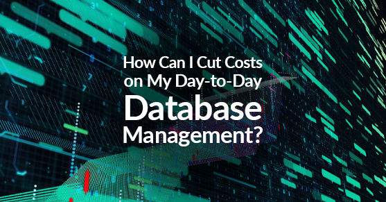 How Can I Cut Costs on My Day-to-Day Database Management?