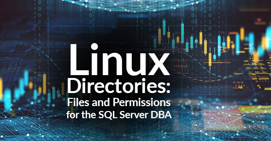 Linux Directories Files and Permissions for the SQL Server DBA