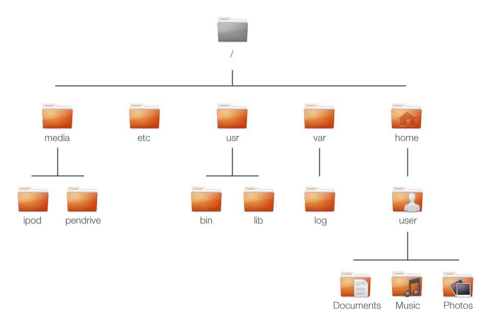 Linux hierarchical structure tree