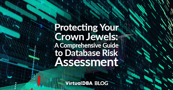 Protecting Your Crown Jewels- A Comprehensive Guide to Database Risk Assessment