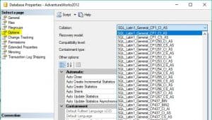 SQL Server Collation Settings and Processes