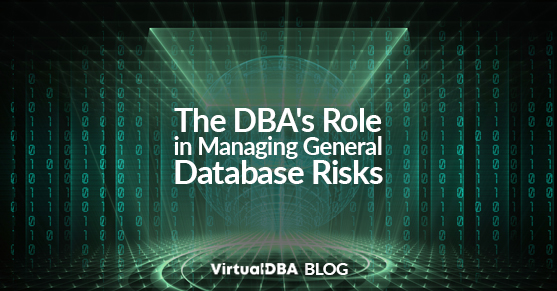 The DBAs Role in Managing General Database Risks