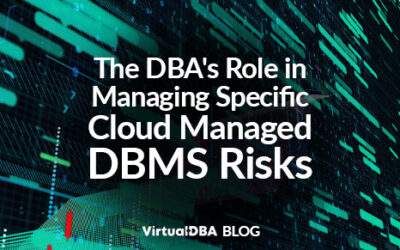 The DBA’s Role in Managing Specific Cloud-Managed DBMS Risks