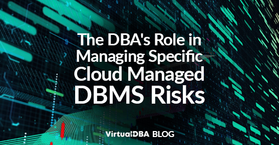 The DBAs Role in Managing Specific Cloud Managed DBMS Risks