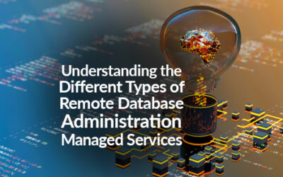 Understanding the Different Types of Remote Database Administration Managed Services