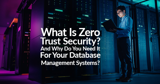 What Is Zero Trust Security? And Why Do You Need It For Your Database Management Systems?
