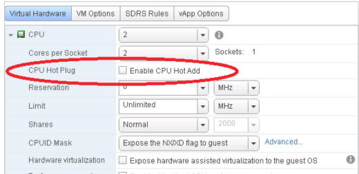 Best Practices for Deploying SQL Server Using vSphere 2022 CPU Hot Plug