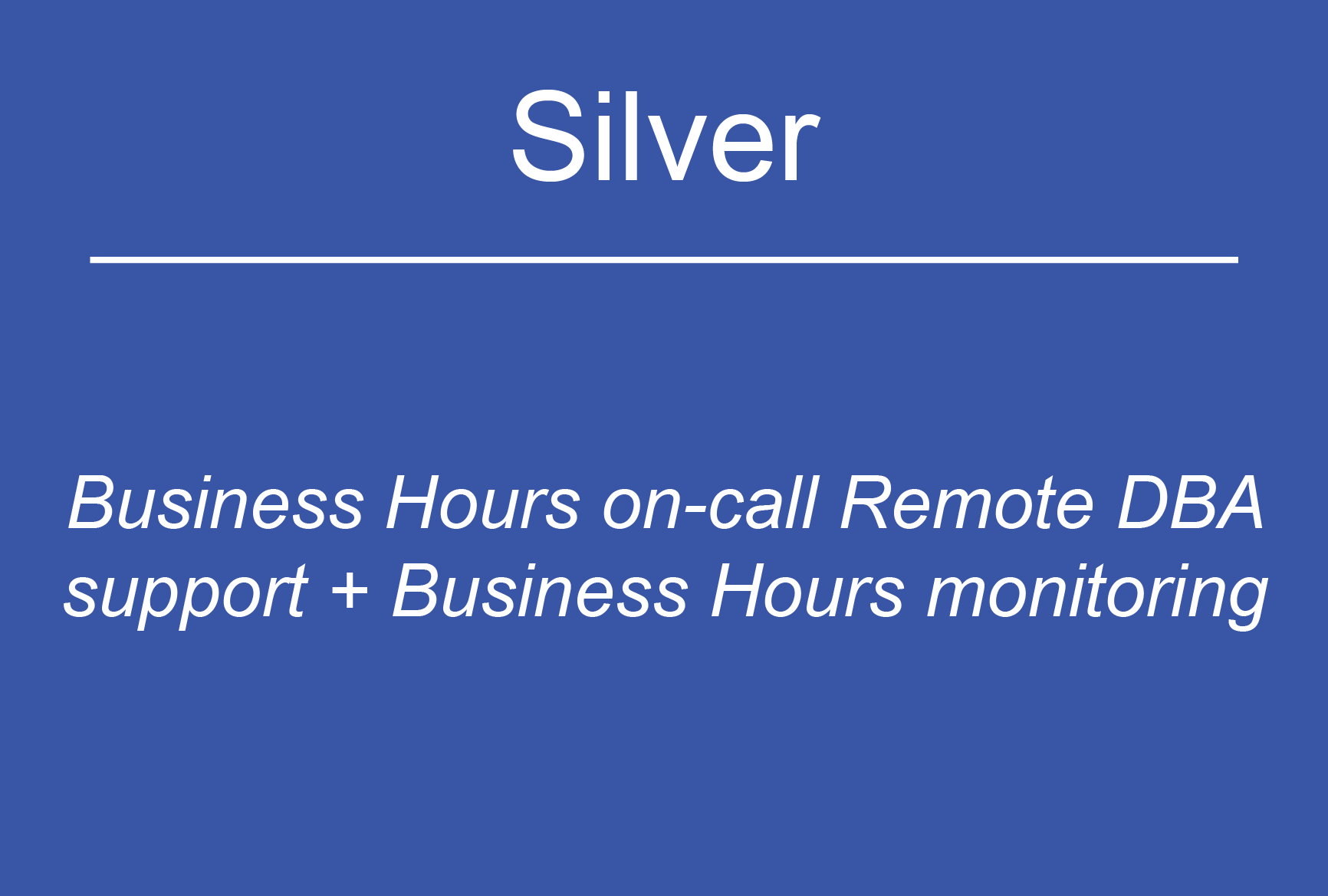 Silver - Business Hours Support & Business Hours Monitoring